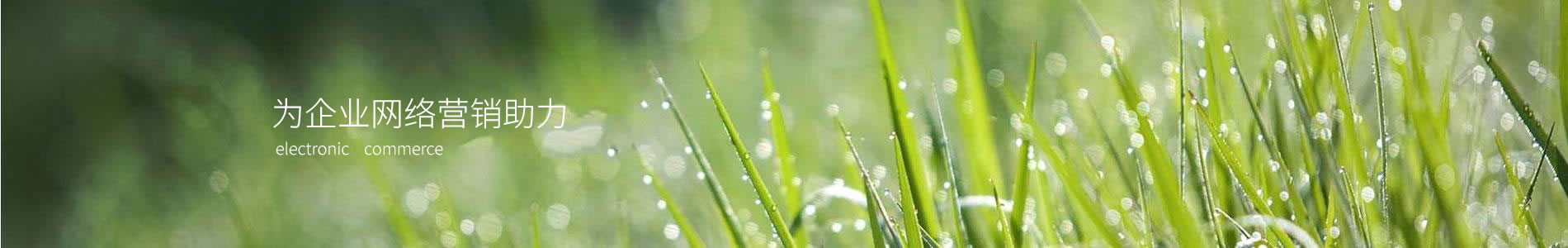 ӱǿܿƼ޹˾